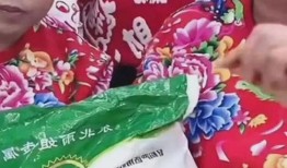 东北姐最新爆料,娱乐圈最新爆料大揭秘！