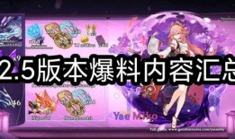 原神13版本最新爆料,神秘新角色揭晓，探索未知领域，开启奇幻冒险之旅