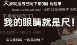 爆料官方解说文案大全最新,最新爆料背后的精彩故事