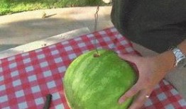 西安最新吃瓜爆料汇总,街头巷尾热辣事件大盘点